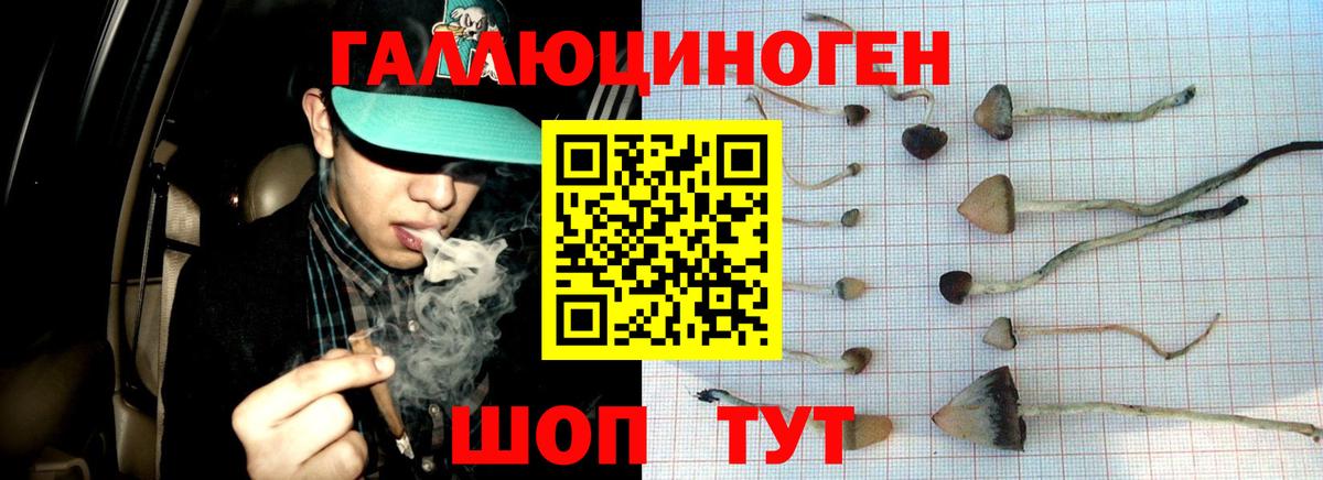 Галлюциногенные грибы мухоморы  Вход с VPN  Абинск  Галлюциногенные грибы Psilocybe 